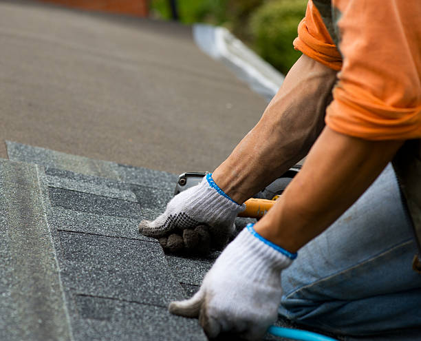 Best Roof Maintenance Services  in Rockport, IN